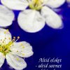 Altid elsket - altid savnet og aldrig glemt